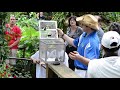 florida museum butterfly rainforest exhibit