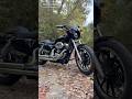 Harley sportster in the woods #automobile #photography #phonk #motorcycle #beautiful #nature #fyp #1