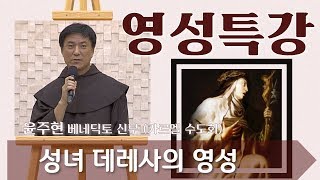 가르멜의 성인들 2부 : 성녀 데레사의 영성_윤주현 신부_영성특강