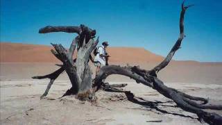 Deserto della Namibia