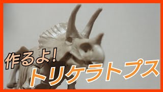 【恐竜】トリケラトプスのプラモデルも凄い！小学１年生付録を組み立てました【ティラノサウルスと飾ろう】