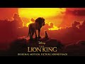 hans zimmer reflections of mufasa from