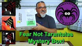 Fear Not Tarantulas Mystery Box!  See what I got!