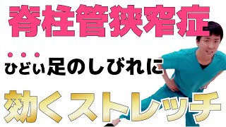 【脊柱管狭窄症】手術をする前にやらないの？足のしびれや腰痛が改善するストレッチ