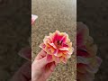 Flower hack for Tulips 🌷 #shorts #tulips #flowerhack #flowers #asmr #asmrsounds #spring #aesthetic