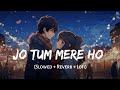 Jo Tum Mere Ho (Slowed + Reverb) | Anuv Jain | Lofi Version | SSR Lofi