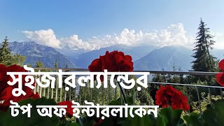 সুইজারল্যান্ডের টপ অফ ইন্টারলাকেন ।। Harder Klum ।। Interlaken Switzerland