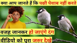 Top 5 | interesting facts | mind blowing facts in hindi | hindi facts #short