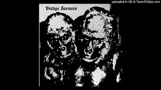 BRIDGE FARMERS - Pyramids Of Montauk