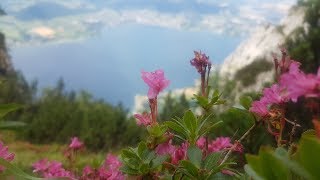 Traunsee Klettersteig