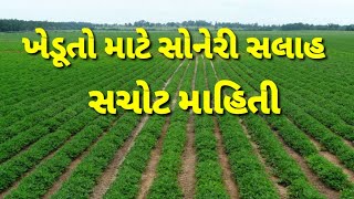 કાળી ફૂગનો સચોટ ઈલાજ પરેશ ગોસ્વામી = kali fugno sachot ilaj paresh Goswami