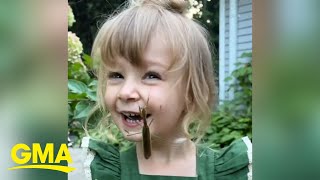 Adorable 3-year-old has no fear of bugs | GMA