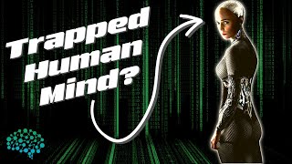 Google Engineer: "This AI Chatbot Is Self-Aware" | Google Lamda