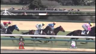 2013年 3歳未勝利 / ライズトゥフェイム