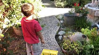 Bulent bahce temizliyor ve cop arabasini goruyor   Bulent cleans up weeds in the garden