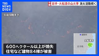 岩手県大船渡市の山林火災　一夜明け消火活動続く　自衛隊などヘリコプター8機が放水　約1200人が動員｜TBS NEWS DIG