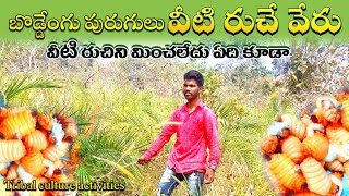 బొడ్డేంగు పురుగులు వీటిరుచే వేరు|tribal people Special dish|tribal food|@TribalCultureActivities