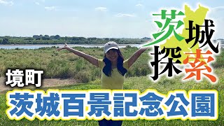 【茨城探索】利根川の景色と高瀬舟さかい丸！（茨城百景記念公園　境町）