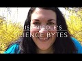 Science Bytes with Miss Nicole | BERNOULLI PRINCIPLE & WINDBAGS