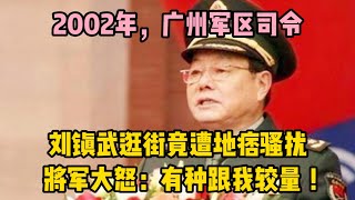 2002年，廣州軍區司令劉鎮武逛街，竟遭地痞騷擾，將軍大怒：有種跟我較量 | wayne調查 | 情感 | 情感故事 | 家庭倫理 |婚姻 #大案紀實 #刑事案件 #案件解說