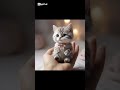 cute cats on hand 😍😍 cat kitten cute cutecat viralvideo