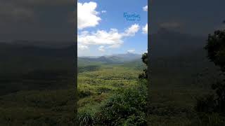 Anamalai hills Pollachi, Tamilnadu, India.