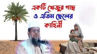 একটি খেজুর গাছ ও এতিম ছেলের কাহিনী । তোফাজ্জল হোসেন ভৈরবী । tofazzal hossain bhairovi | Bangla Waz |