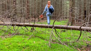 Collecting Chanterelles and Giant Mushrooms!