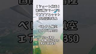 南ベトナム、タンソンニャット国際空港への着陸【飛行機シリーズ３】
