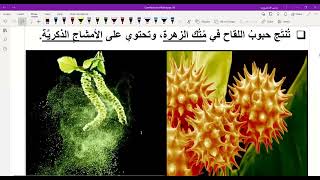 أساسيات مادة العلوم للصف السابع (الجزء الاول)