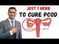 Just 1 Teaspoon Per Day To Cure PCOD/PCOS & Irregular Periods Permanently