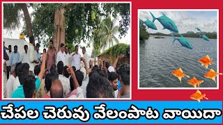 నల్లచెరువు: kపూలుకుంట చెరువు వేలంపాట వాయిదా#nallacheruvu