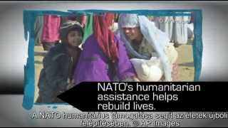 NATO Csúcstalálkozó Wales 2014 – Humanitárius segítség