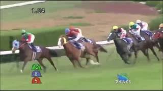 【競馬】第29回マイルチャンピオンシップ（GI）2012/11/18　京都11R　結果