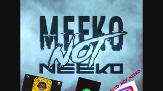 Meeko Not Neeko - BaldHeadScallywag