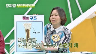 뼈 구멍을 통해 영양분을 교환! 전신 건강에 필수인 '스펀지 뼈' TV정보쇼 알짜왕(alzzaking) 243회 | JTBC 211021 방송