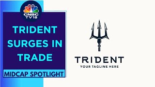 Trident Surges In Trade After Reporting 142% Rise In Profit After Tax In Its Q4FY24 Earnings