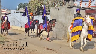 ਦੇਖੋ ਨਿਹੰਗ ਸਿੰਘ ਫੌਜਾਂ ਦੇ ਟੋਪ ਦੇ ਘੋੜੇ,,,,, Nihang Singh On Top Horses Tarna Dal (Baba Bakala Sahib)