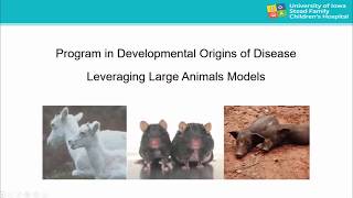 Translational Cardiovascular Investigations in Sheep and Transgenic Pigs