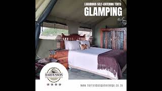 Luxury Glamping in the Garden Route