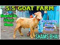 Ab Quality Milegi Saste Mai at S.S Goat Farm in Kalyan #youtubevideos #viralvideo @AsimShaikh