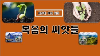 [군포영안교회]복음의 씨앗들 (세상에 이런일이)