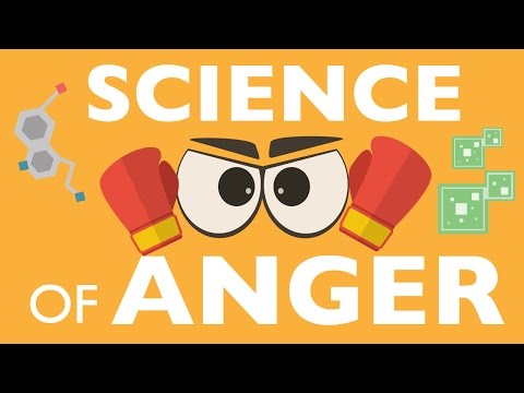 What causes teenage anger?