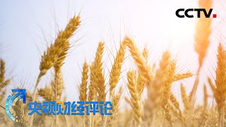 《央视财经评论》夏粮丰收成定局 “饭碗”稳稳的 20200616 | CCTV财经