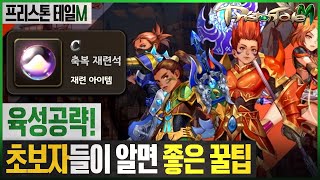 프리스톤테일M 초보자를 위한 꿀팁 2탄! 무료 순간이동, 추천 스킬 등! [테일이의 프리스톤테일M]