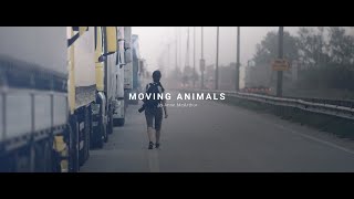 Moving Animals