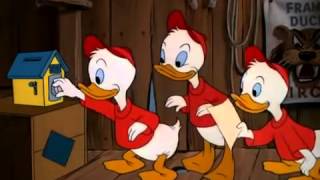 ᴴᴰ Donald Duck   Donald's Happy Birthday 1949 DISNEY CLASSICS