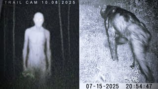 Most Disturbing Cryptid Creatures Caught on Trail Cam 2025 *NEW*