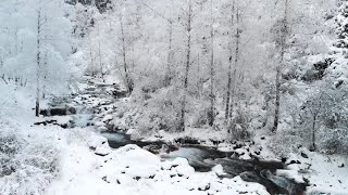 Alpine Mountain River 4K in Switzerland - Calming Nature Sounds for Study, Relaxation \u0026 Sleep