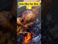 Funny Chicken #comedy #funnyvideo #memes #short  #animals #funnyanimals #shorts